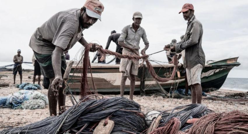 Fisheries Ministry Seeks Fish Catch Report